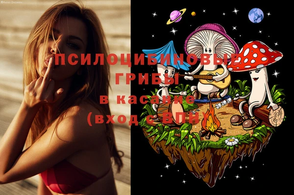 спайс Елизово