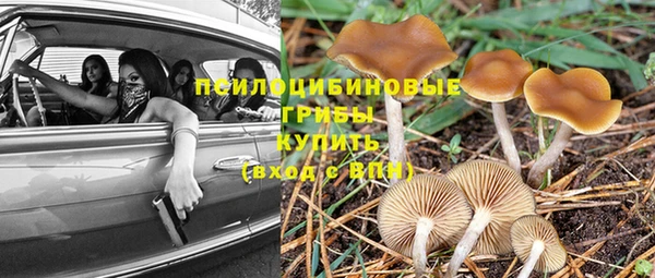 марки lsd Елабуга