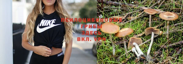 синтетический гашиш Ельня