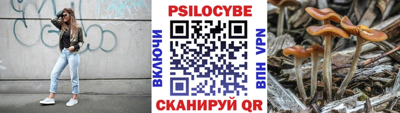 Галлюциногенные грибы прущие грибы  Купить где  Верхний Тагил 